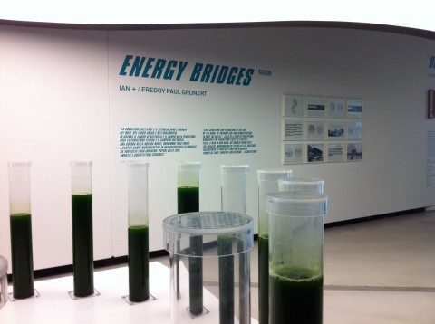 Energy - veduta della mostra presso il Maxxi, Roma 2013
