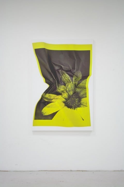 Riccardo Previdi, Test (Yellow Flower), 2010