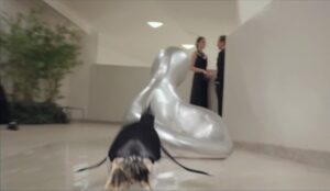 Pinguini al museo. Ecco il trailer del nuovo film di Jim Carrey con le scene girate al Guggenheim