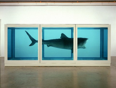 3 DamienHirst ThePhysicalImpossibilityofDeath 727548 Restauro dell'arte contemporanea. Cosa cambia?