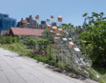 Installazione di Sara Sze sulla High Line di New York City Noi non c'abbiamo manco il curatore, loro già artisti e progetto. Sara Sze rappresenterà gli Stati Uniti alla Biennale di Venezia del 2013. Con un Grande Fratello in fase di montaggio