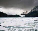 luca campigotto A Trieste la natura brucia