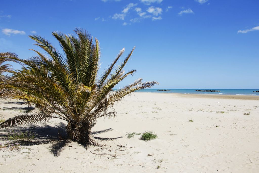 Metti una domenica d’estate A San Benedetto del Tronto. Sole, mare, relax e arte contemporanea. Torna la rassegna Marche Centro d’Arte, con tanto di videoscreening in appendice