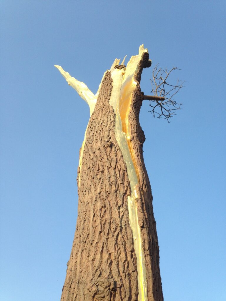 Giuseppe Penone a Forte Belvedere foto Valentina Grandini 1 Immagini in anteprima dalla mostra fiorentina di Giuseppe Penone a Forte Belvedere. Che riapre anche grazie al sostegno del Gioco del Lotto