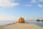 kusama Reportage da Naoshima, l’isola giapponese dell’arte