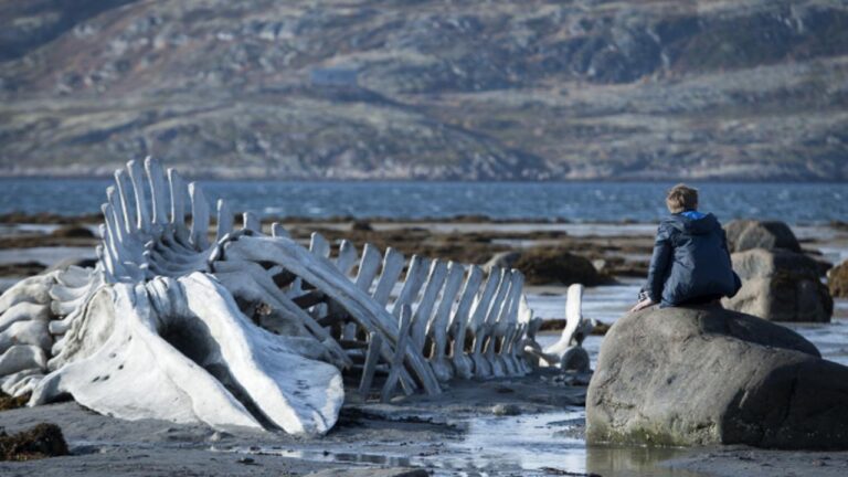 Andrey Zvyagintsev Leviathan Il meglio cinema del 2014. Dodici film (e qualche considerazione)