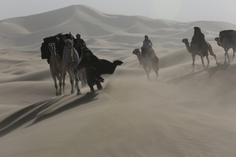 Queen of the Desert di Werner Herzog 1 Berlinale Updates: la scena è tutta per Queen of the Desert, il peggior film della carriera di Werner Herzog