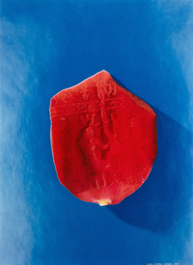 Anne e Patrick Poirier, Hyeroglyphe, 1980 - Museo Cantonale d'Arte, Lugano