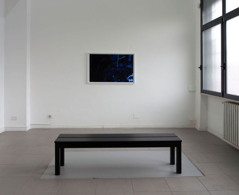 Astrid Nippoldt – Oakwood – veduta della mostra presso The Gallery Apart, Roma 2015 – photo Giorgio Benni