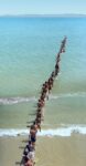 Francis Alÿs, Don’t Cross the Bridge before you get to the River, Stretto di Gibilterra, 2008 - photo Roberto Rubalcava