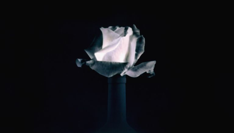 Paolo Mussat Sartor, Rosa, 1991-92