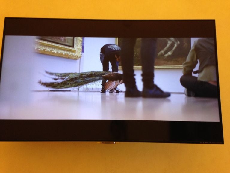 Masbedo Fragile backstage Musei Reali Galleria Sabauda Torino 11 L’arte Fragile dei Masbedo. Nuovo video del duo alla Galleria Sabauda di Torino. La pinacoteca dei Musei Reali si apre al contemporaneo