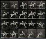 Eadweard Muybridge, A horse jumping a hurdle, 1887, 25,5 x 30 cm, Wellcome Library di Londra