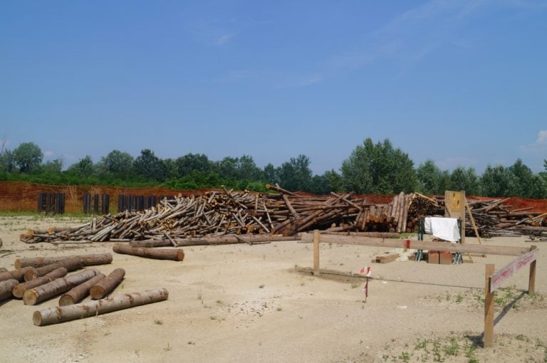 Giuliano Mauri - Cattedrale Vegetale, il cantiere di Lodi