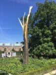 Giuseppe Penone, installazione nei giardini del Rijksmuseum Amsterdam