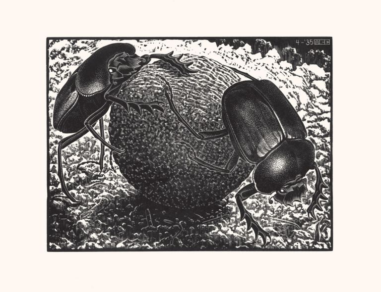 Maurits Cornelis Escher, Scarabei