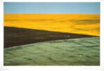 Franco Fontana (Modena, 1933), Paesaggio, Puglia, 1975, Fotografia a colori su carta Cibachrome, UniCredit Art Collection