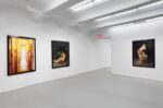 Andres Serrano. Torture. Exhibition view at Jack Shainman Gallery, New York 2017