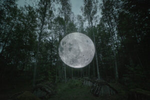 La luna in mezzo agli alberi. Un’installazione olografica in Svezia
