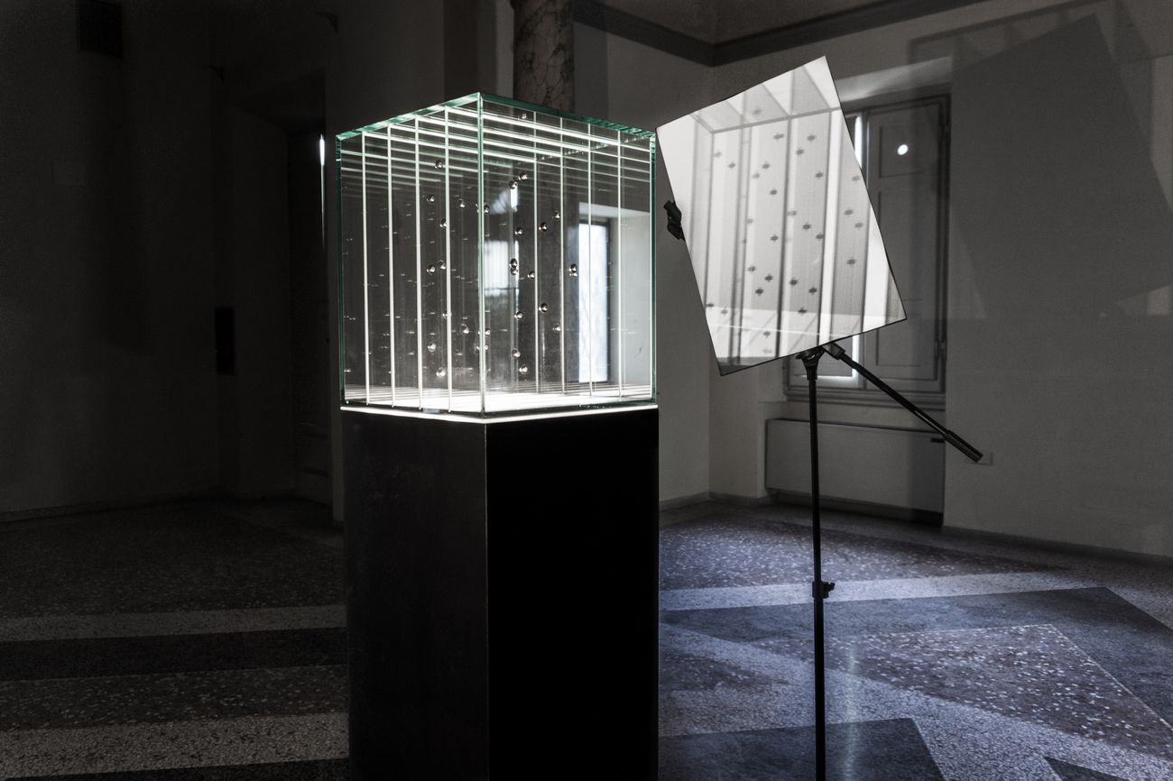 L'installazione di Edoardo Dionea Cicconi a Firenze / Foto: Artribune