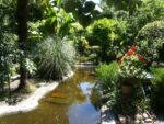 Giardini segreti a Bologna. Photo Claudia Zanfi