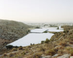 Gaia Cambiaggi, Invernaderos, 2013 – in progress, Courtesy l’artista