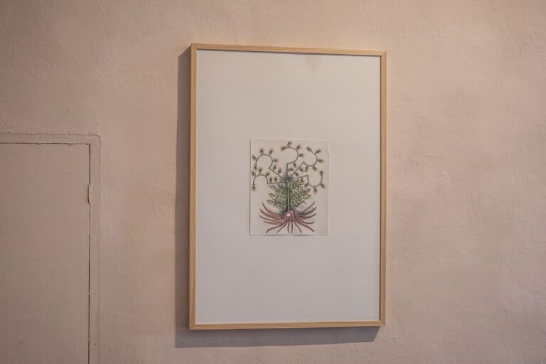 Laura Cionci. Il Giardino segreto. Palazzo dei Priori, Volterra 2018. Inchiostro e acquerello su carta