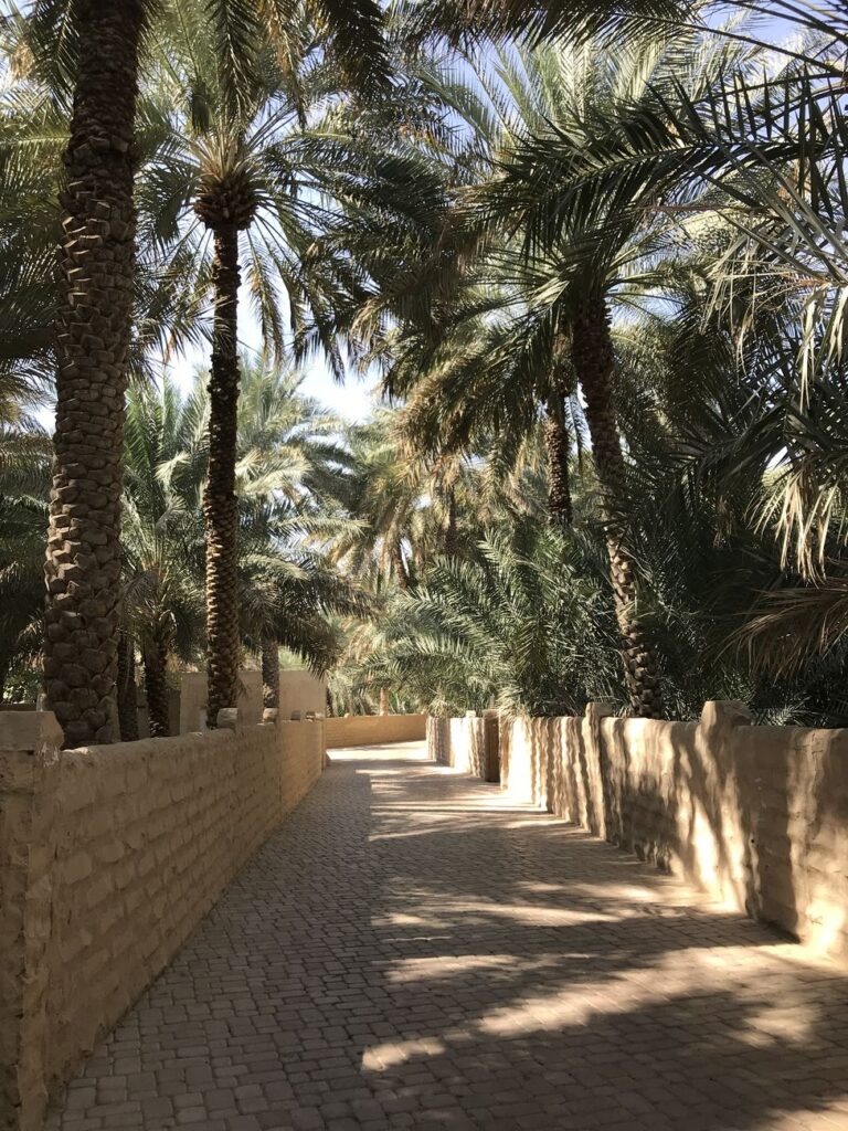 Abu Dhabi Art 2018 Beyond L'oasi di Al Ain. Photo Marco Enrico Giacomelli