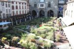 Piet Oudolf Gardens, Piazza Vecchia, Bergamo. Photo Claudia Zanfi