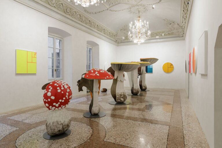 Carsten Höller. Mushroom Mathematics. Installation view at Massimo De Carlo, Milano 2018. Photo Roberto Marossi. Courtesy Massimo De Carlo