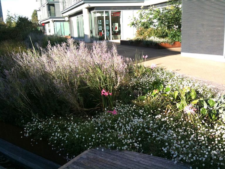 King's Cross Gardens, Londra. Photo Claudia Zanfi