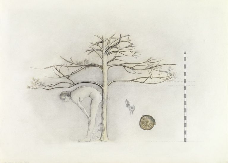 Birgit Jürgenssen, Das Wachsen mit einem Baum, 1977. Courtesy Galerie Hubert Winter, Vienna © Estate Birgit Jürgenssen by SIAE 2019