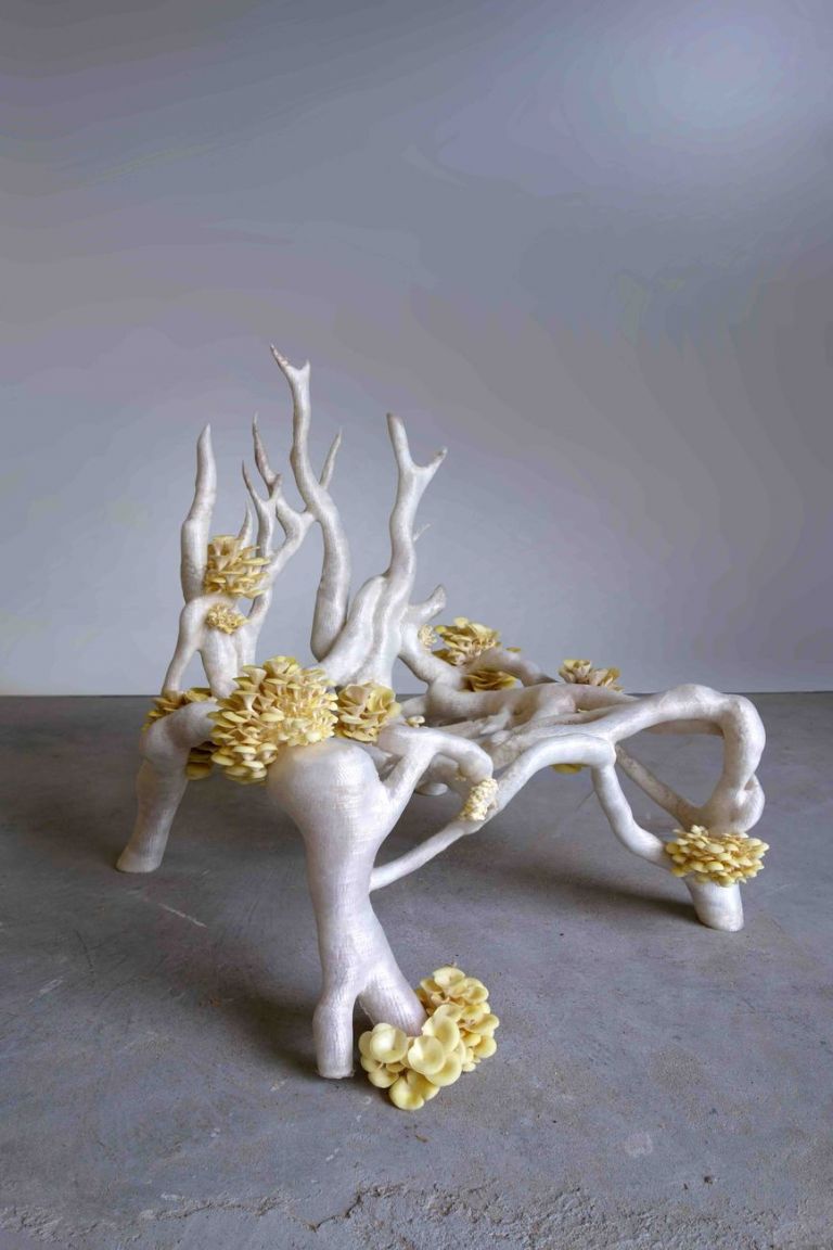 Studio Klarenbeek & Dros, Mycelium Chair, 2012 18. Photo © Mike Roelofs