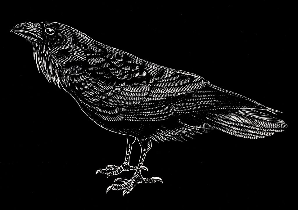 Stampa, grafica, illustrazione: The Raven è la mostra collettiva con 21 autori dalla Sardegna