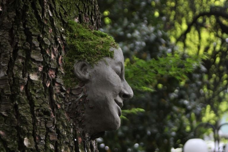 Scultura di fango su albero, Elena Candeo