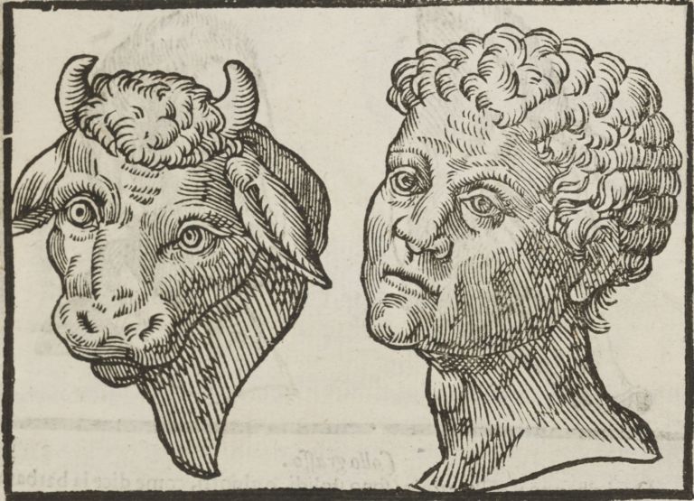 Giovan Battista Della Porta, Della fisonomia dell'huomo…, Padova, 1627 Collezione Museo Nazionale del Cinema