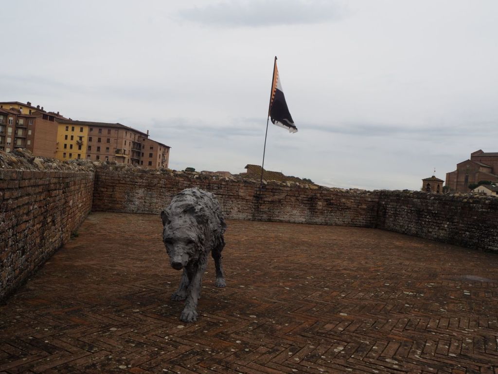 La collezione di Michelangelo Consani, a Siena