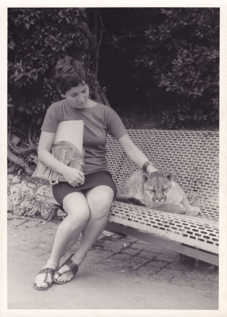 Anonimo, Simone sitting with a Lion Cub, Bioparco di Roma, 1968