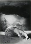 Dora Maar, Untitled (Hand Shell) 1934, Photo © Centre Pompidou, MNAM CCI, Dist. RMNGrand Palais image Centre Pompidou, MNAM CCI © ADAGP, Paris and DACS, London 2019