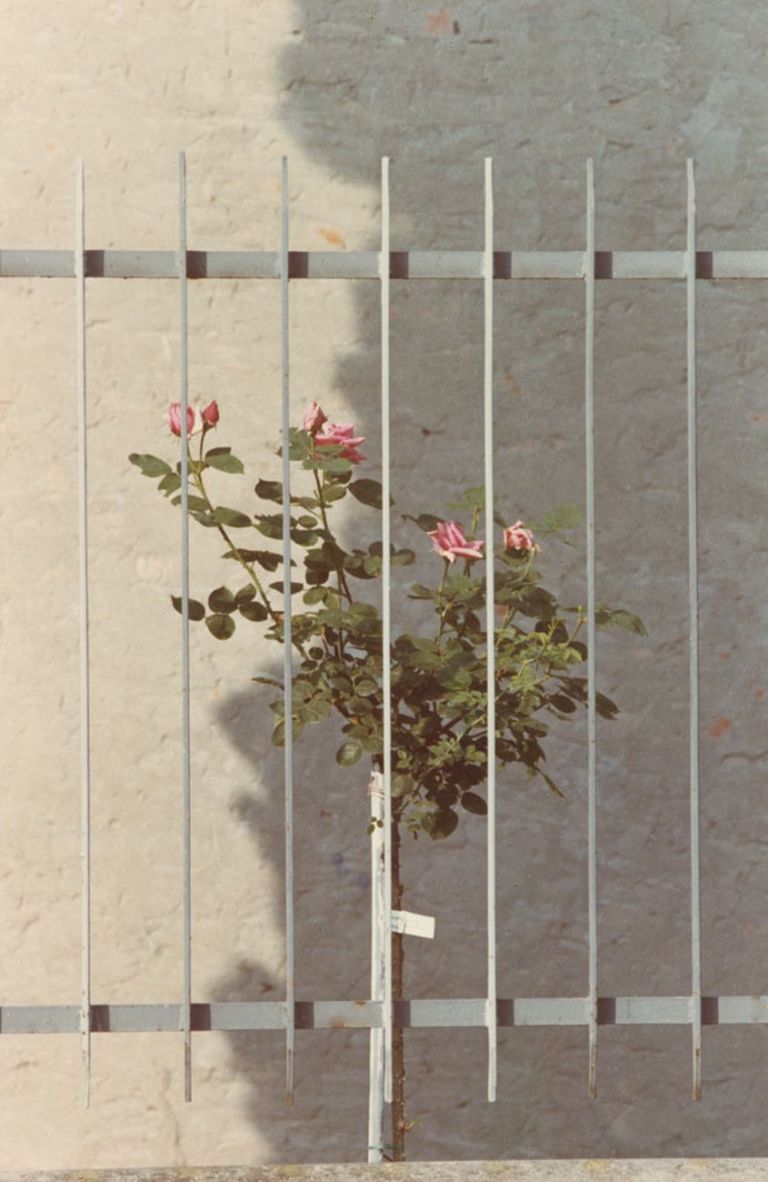 Luigi Ghirri, Modena, 1973 © Eredi di Luigi Ghirri