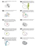 PGT Milano 2011. Decalogo per i quartieri, NIL Nuclei di Identità locale, La struttura della città pubblica. Credits Metrogramma