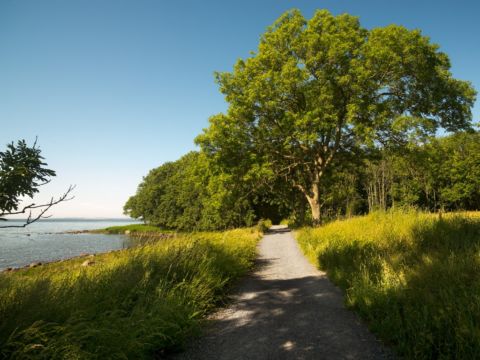 Una veduta dell’Isola di Jeløya Moss, Norvegia. Photo Eivind Lauritzen