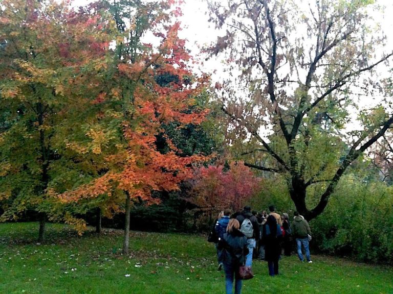 Giardini pubblici a Milano. Percorsi botanici. Photo Claudia Zanfi