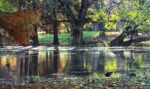 Giardini pubblici a Milano. Photo Claudia Zanfi