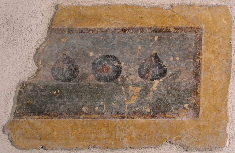 Affresco parietale con quadretto di fichi Stabia, villa Arianna, I secolo d.C. © Ministero per i beni e le attività culturali e per il turismo / Parco Archeologico di Pompei