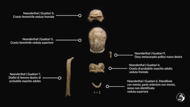 Neanderthal crediti ©️ UfficioStampaEComunicazione MiC Foto di Emanuele Antonio Minerva