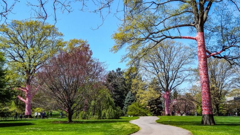 Yayoi Kusama, Ascension of Polka Dots on the Trees. Installation view at New York Botanical Garden, New York 2021. Photo Maurita Cardone