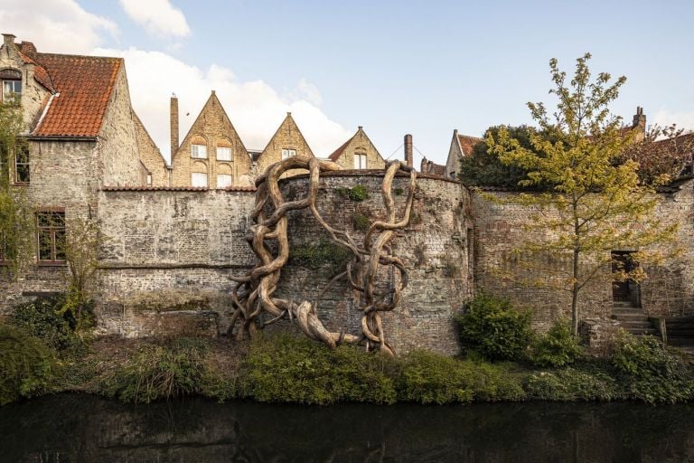 Henrique Oliveira, Banisteria Caapi (Desnatureza 4), 2021. Courtesy Vallois, Van de Weghe Triennale Brugge 2021 © Stad Brugge Matthias Desmet