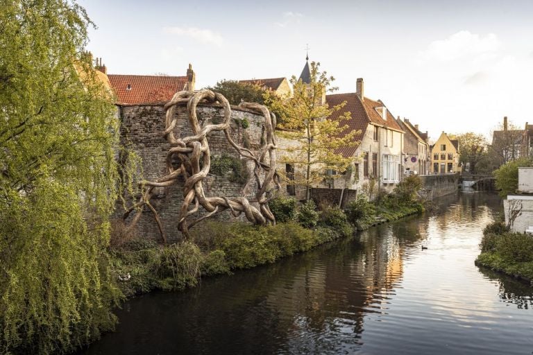 Henrique Oliveira, Banisteria Caapi (Desnatureza 4), 2021. Courtesy Vallois, Van de Weghe Triennale Brugge 2021 © Stad Brugge Matthias Desmet