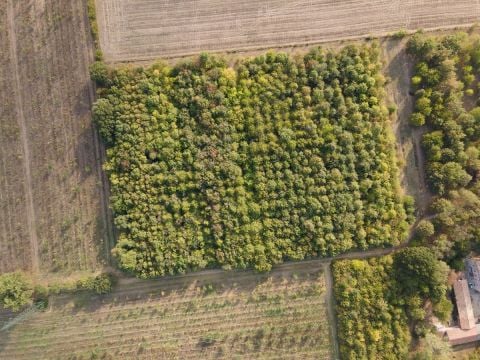 12. Parma Bosco Spaggiari Foto Paolo Panzera C FAI 1 Sabato 16 e domenica 17 ottobre decima edizione delle Giornate Fai d’Autunno: 600 luoghi aperti